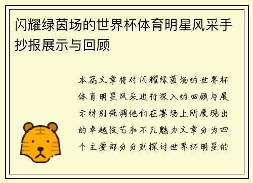 闪耀绿茵场的世界杯体育明星风采手抄报展示与回顾