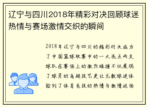 辽宁与四川2018年精彩对决回顾球迷热情与赛场激情交织的瞬间